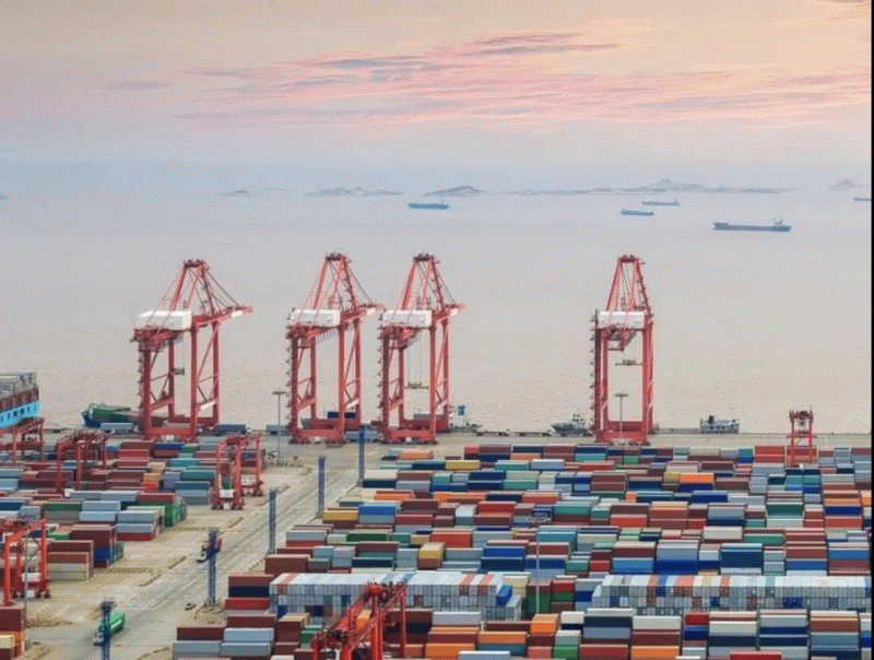 上港集团2020年净利83.07亿 年内多次刷新单月箱量纪录