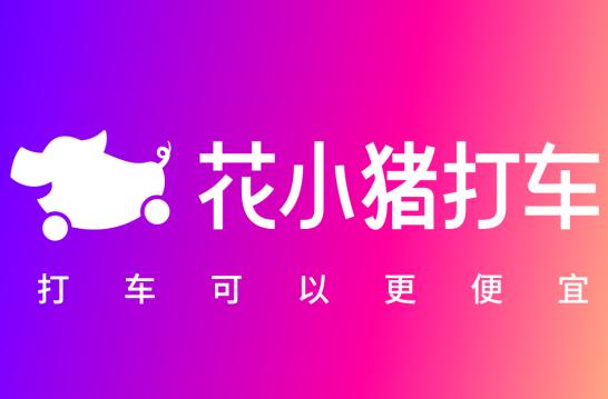 “花小猪”被点名,1月双合规率仅16.1%!