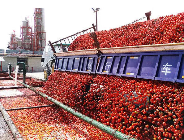 注意丨美国禁止日本食品进口；日本番茄酱巨头停止进口新疆番茄