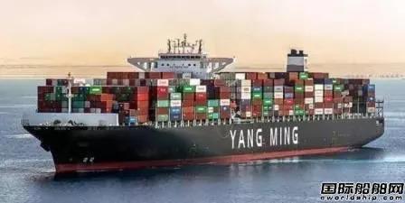 阳明海运：看好今年集运市场，预计第三季度评估造船计划